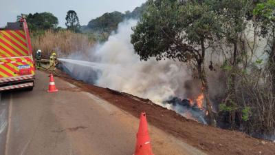 Candói: Caminhão tombado com carga de madeira é incendiado após tentativa de saque da carga na BR 277